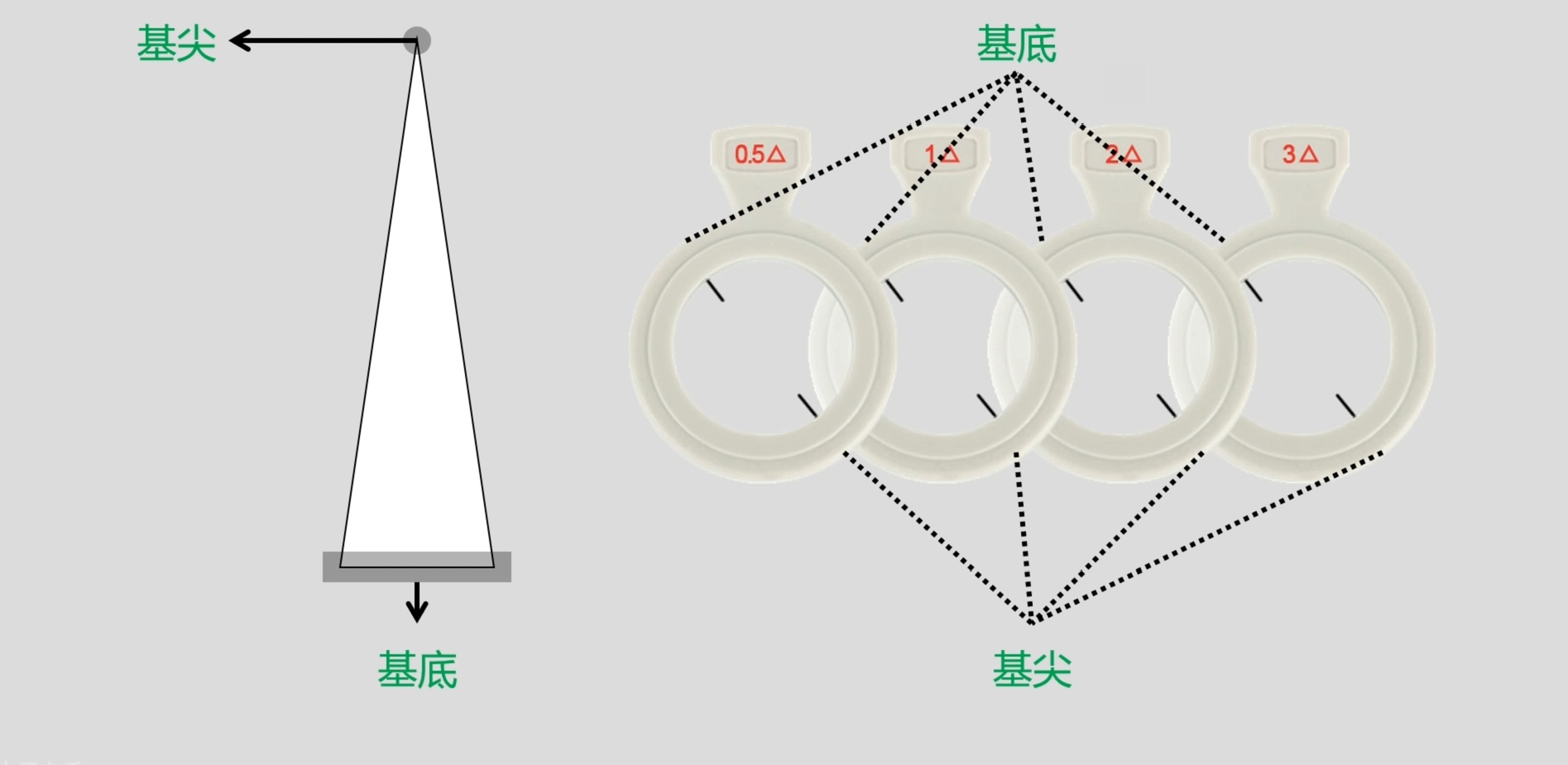 基尖基底.jpg