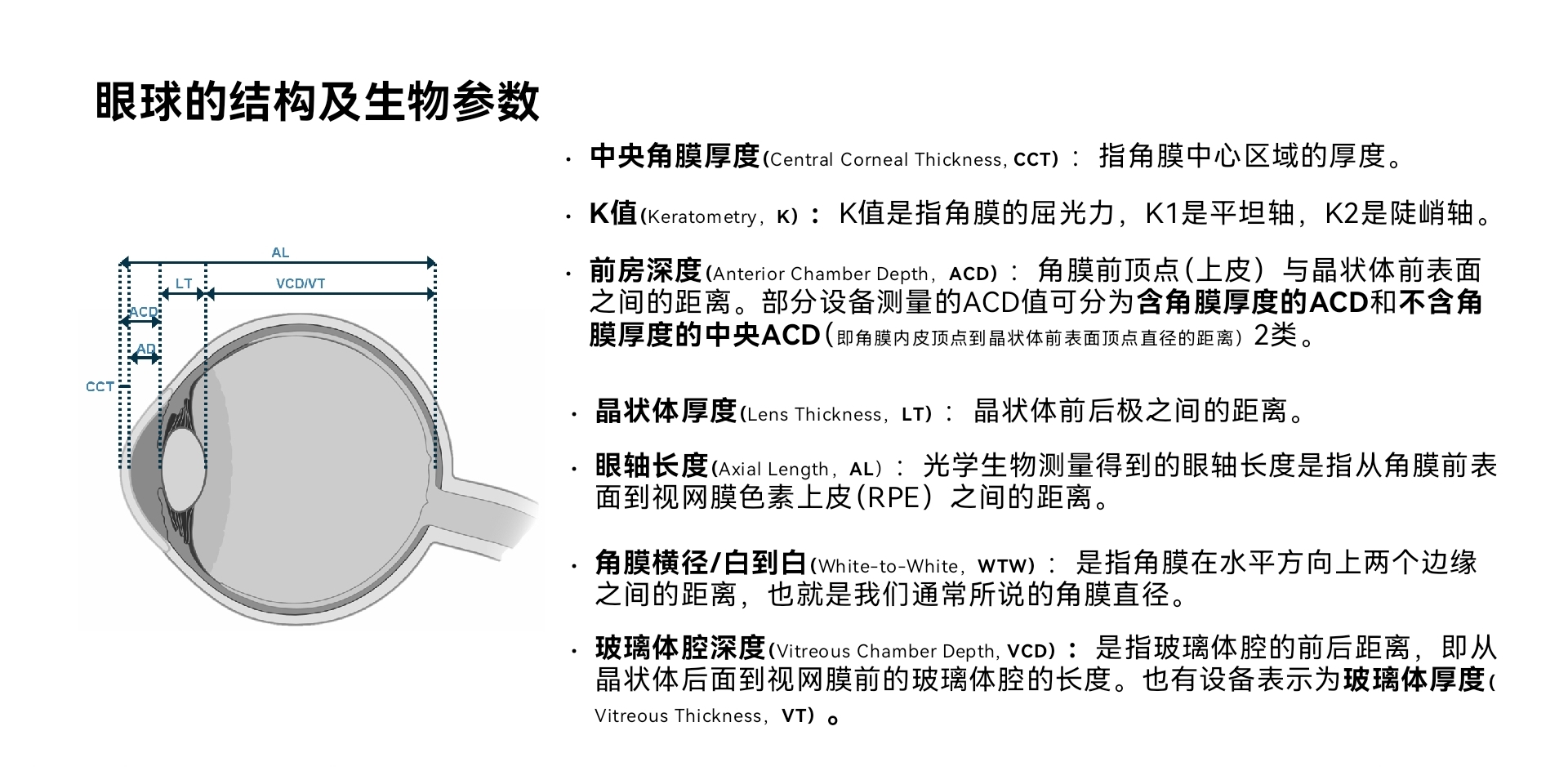 眼球结构及生理参数.jpg