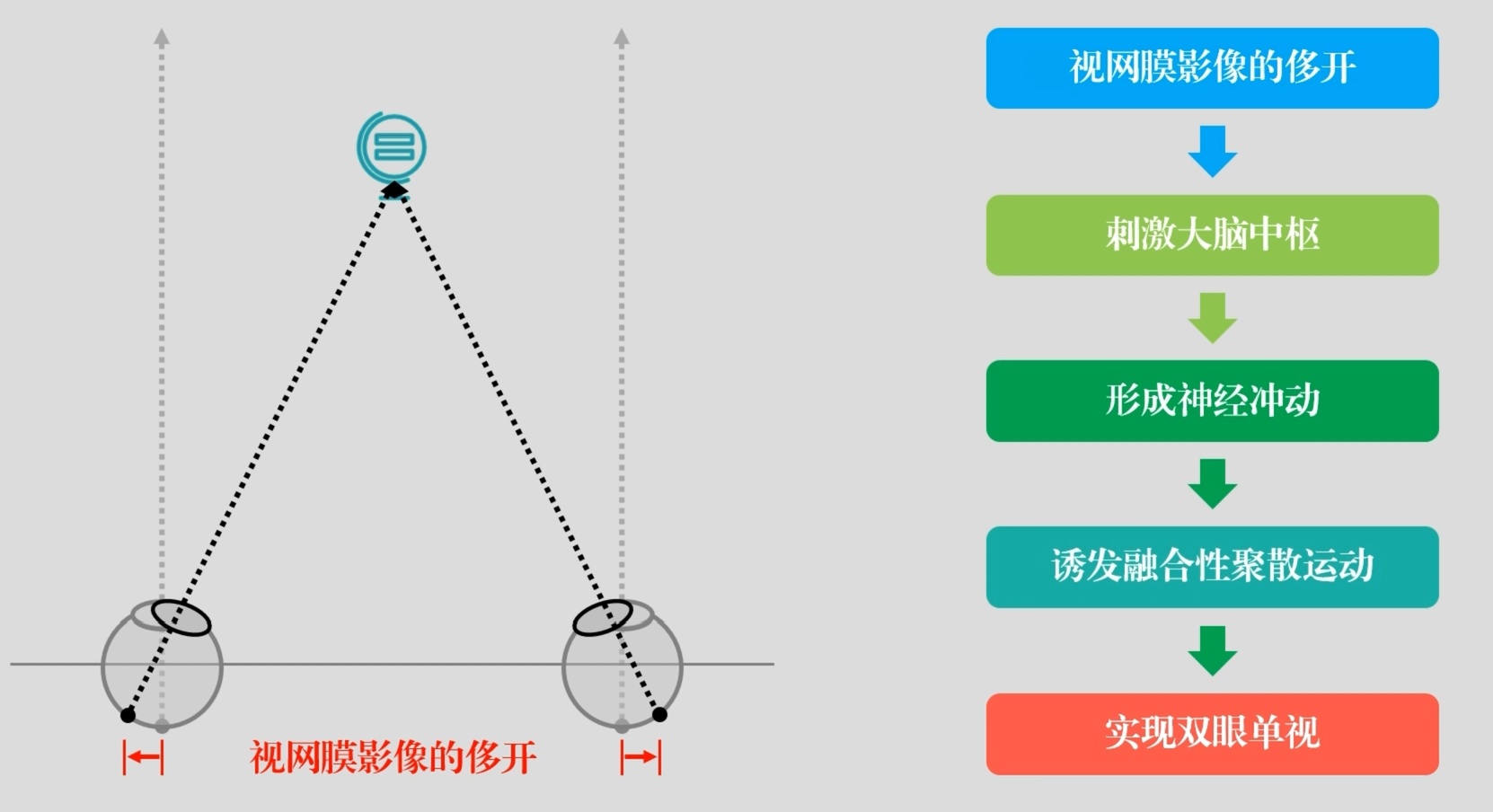 融像性聚散工作图解.jpg