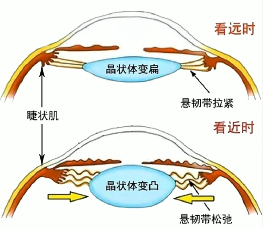 调节图解.jpg